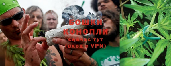 прущие грибы Касимов