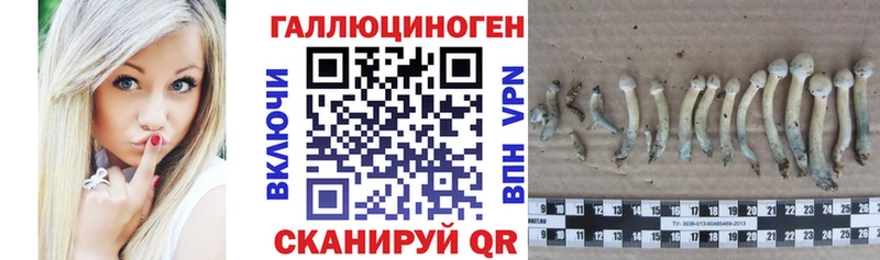 Галлюциногенные грибы MAGIC MUSHROOMS  мега как войти  Первоуральск 